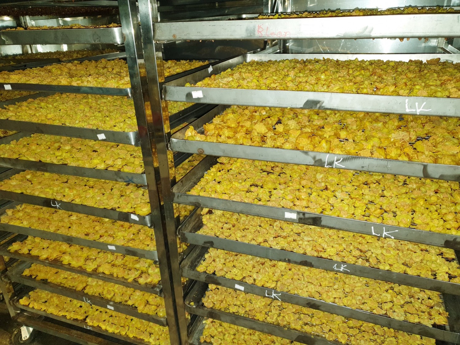 49898158 619056715191062 5307756640647249920 n